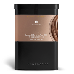 Pantone Color of the Year 2025 Mocha Mousse Wholesale Tin