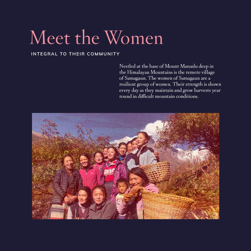 Meet the women integral to their community. Nestled at the base of Mount Manaslu deep in the Himalayan Mountains is the remote village of Samagaun. The women of Samagaun are a resilient group of women. Their strength is shown every day as they maintain and grow harvests year round in difficult mountain conditions.