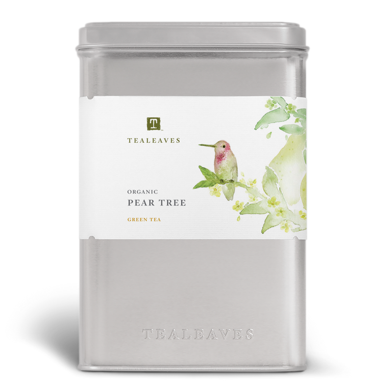 Organic Pear Tree Wholesale Tin